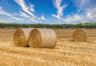 bale
