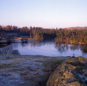 Scenic view of river in forest against clear sky