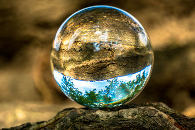 Close-up of crystal ball on tree