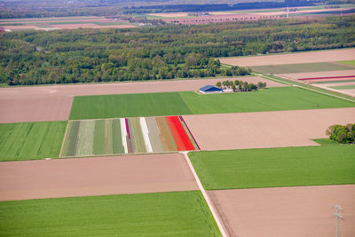 High angle view of agricultural field