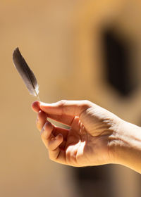 Close-up of hand