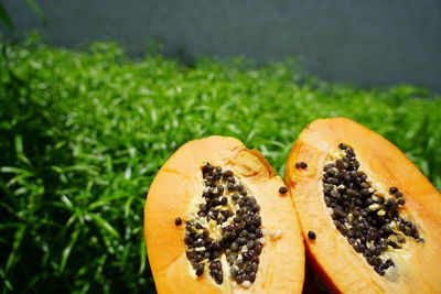 Close-up of orange fruit