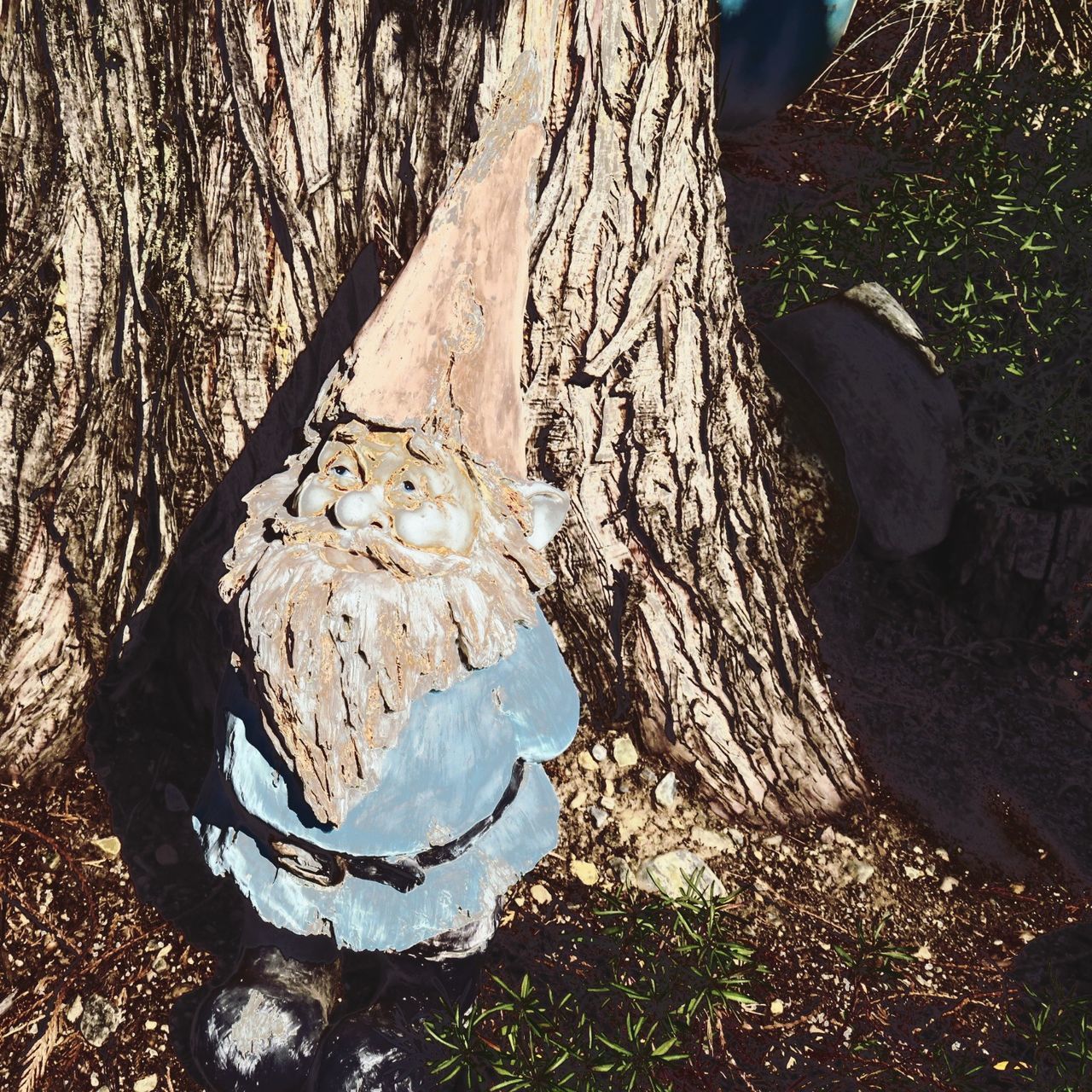 CLOSE-UP OF TREE TRUNK IN FIELD