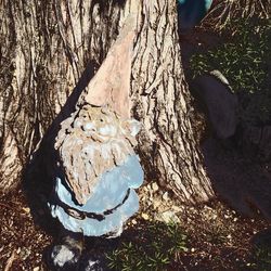 Close-up of tree trunk in forest