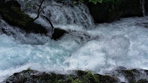 View of waterfall in forest