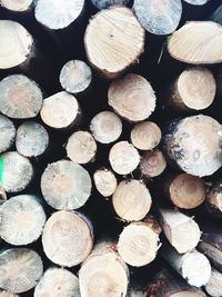 Full frame shot of logs