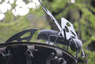 Close-up of metal chain amidst trees