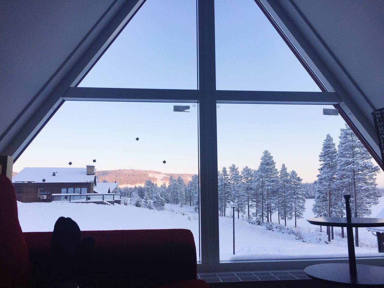 snow, winter, cold temperature, season, tree, built structure, clear sky, architecture, weather, covering, window, sky, sunlight, low angle view, house, nature, white color, landscape, indoors, day