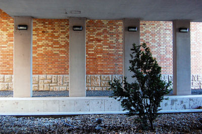 Building exterior with building in background