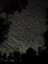Low angle view of silhouette trees against sky at night