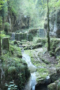 Scenic view of waterfall in forest