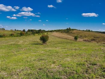 Scenic view of field against sky