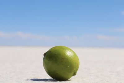 Close-up of apple on tree against sky