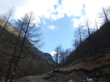 Low angle view of bare trees against sky