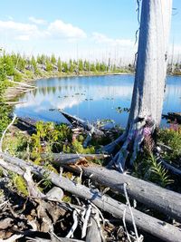 View of boats in river
