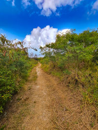Dirt road amidst plants and trees against sky