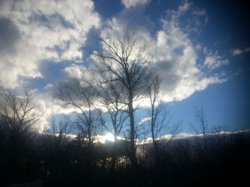 Bare trees on landscape against sky