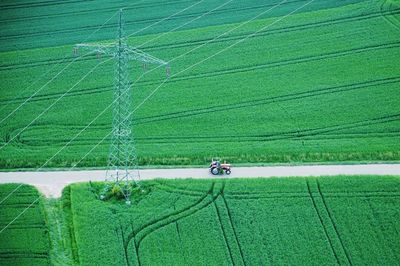 Close-up of green grass