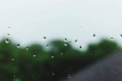 Full frame shot of wet glass window
