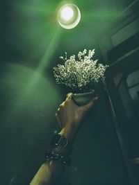 Close-up of hand holding illuminated flowering plant