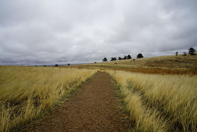 Scenic view of agricultural field against storm clouds