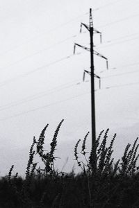 Low angle view of telephone pole against sky