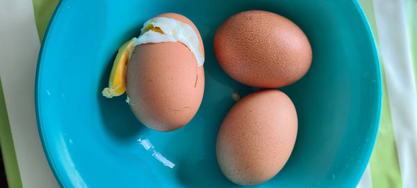 High angle view of multi colored eggs in container