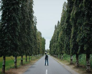 Rear view of man walking on footpath amidst trees