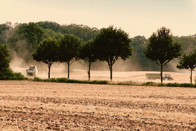 Trees on field against sky