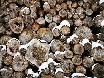 Full frame shot of logs