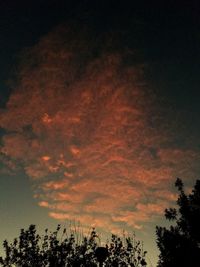 Low angle view of silhouette trees against sky
