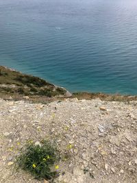 High angle view of scenic view of sea