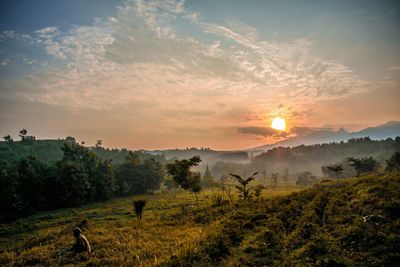 Scenic view of field against sky during sunset