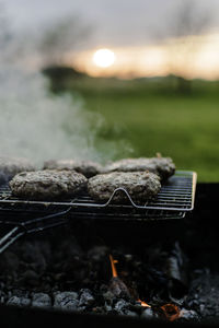 Close-up of food on grass