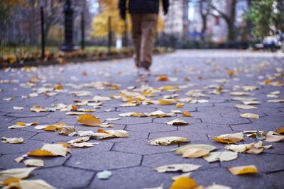 Low section rear view of man walking on footpath by fallen autumn leaves