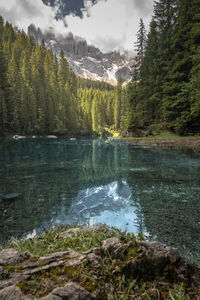 Scenic view of waterfall in forest
