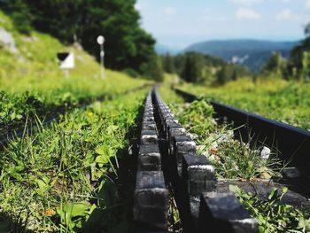 Surface level of railroad track