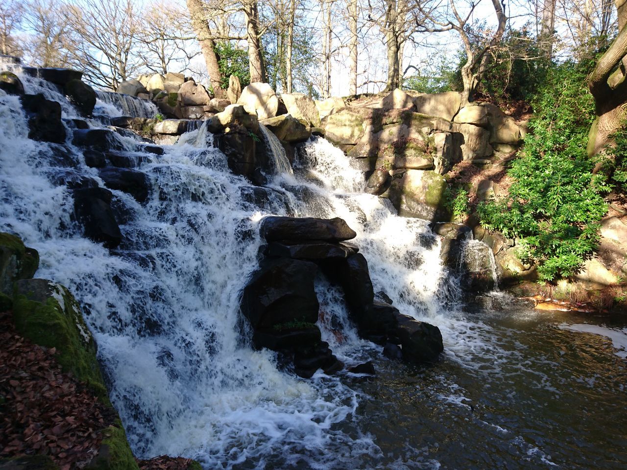 water, waterfall, motion, flowing water, long exposure, flowing, rock - object, beauty in nature, nature, scenics, tree, forest, splashing, stream, surf, blurred motion, rock formation, river, day, plant