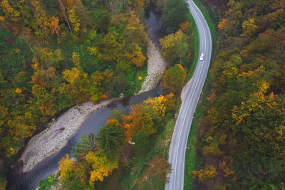 High angle view of road amidst trees during autumn