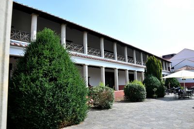 Plants against building