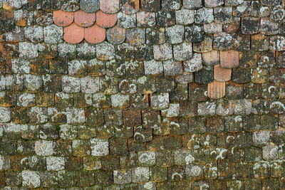 Romanian old roof tiles texture with lichens due to humid climate