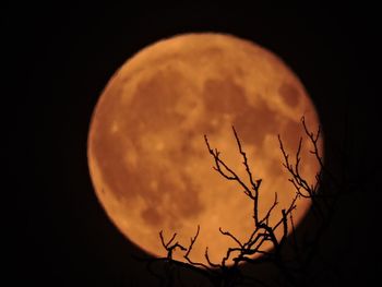 Scenic view of sky at night