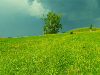 Scenic view of grassy field against cloudy sky