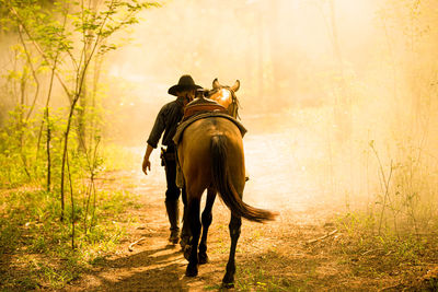 View of horse riding