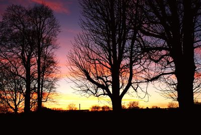 Silhouette bare trees on field against sky during sunset