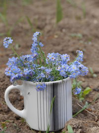 Close-up of purple flower pot