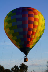 Low angle view of hot air balloons against sky