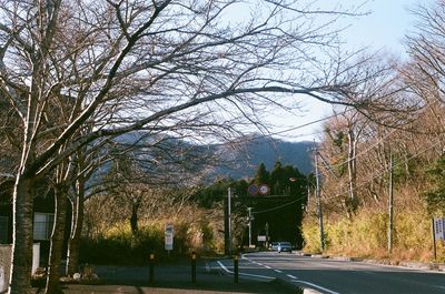 Road amidst bare trees against sky