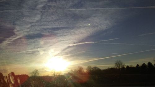 Low angle view of trees against sky during sunset