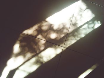 Low angle view of tree